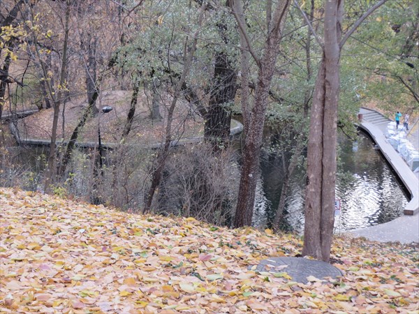 362-Вид от Летнего домика на Елизаветинский пруд, 19 октября 201